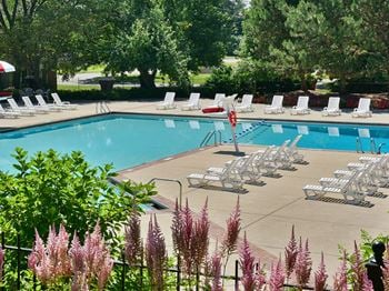 Pool and sundecks